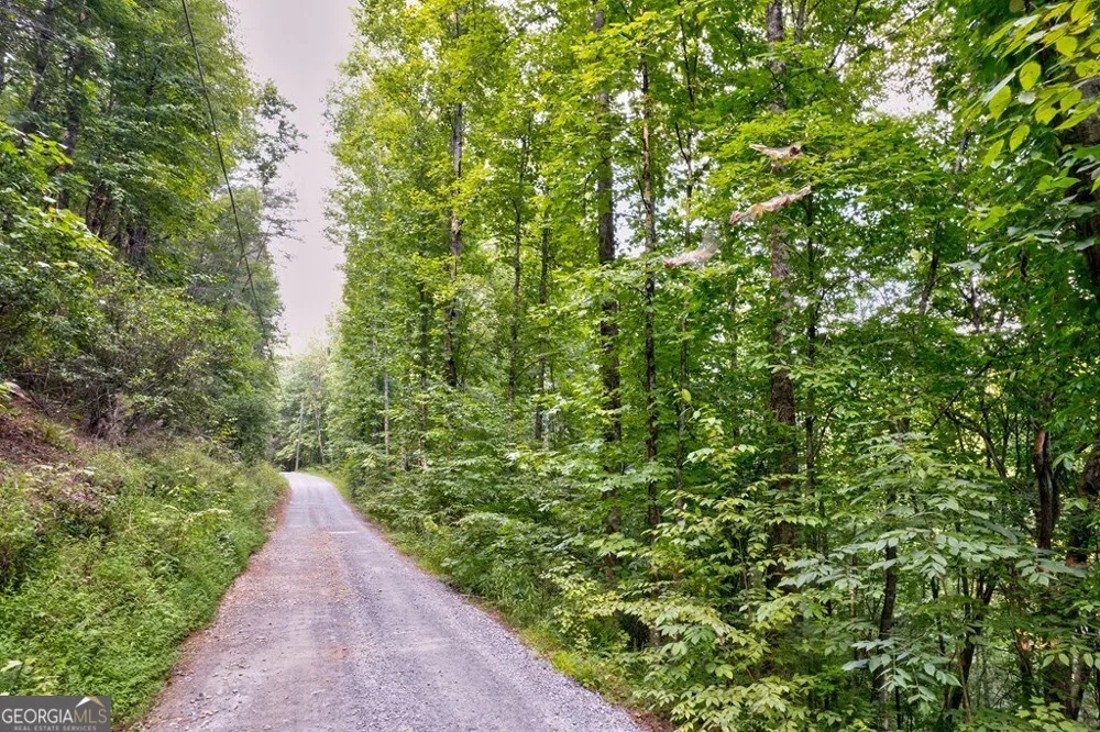 0 Wolf Pen TRL Ellijay, GA 30540