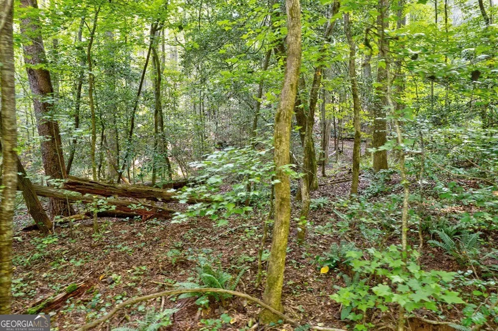0 Wolf Pen TRL Ellijay, GA 30540