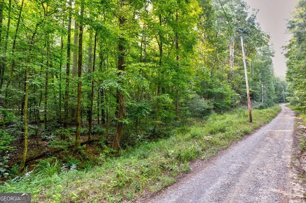 0 Wolf Pen TRL Ellijay, GA 30540