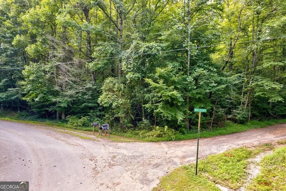0 Wolf Pen TRL Ellijay, GA 30540