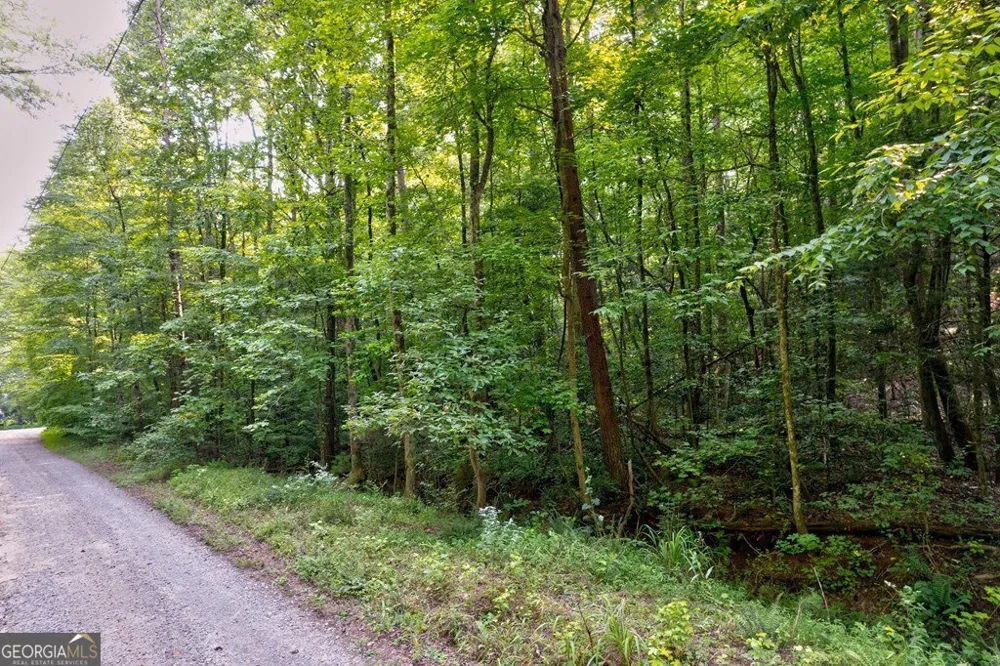 0 Wolf Pen TRL Ellijay, GA 30540