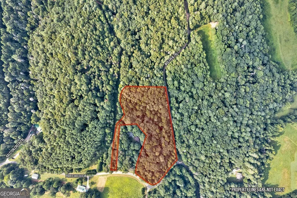 0 Wolf Pen TRL Ellijay, GA 30540