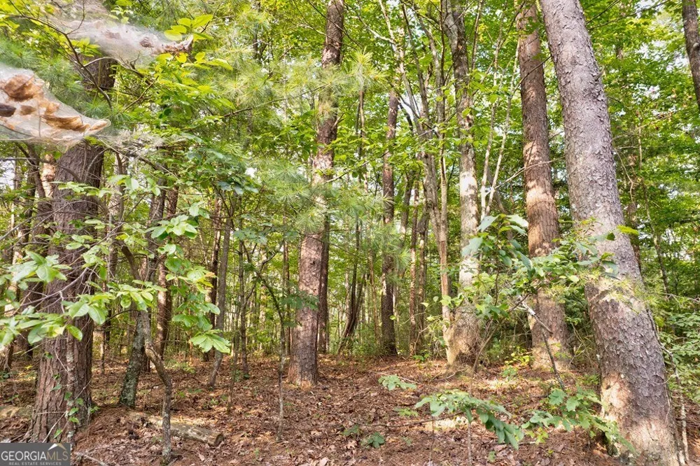 0 Wolf Pen TRL Ellijay, GA 30540
