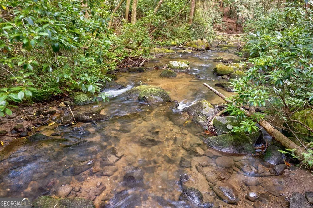 0 Wolf Pen TRL Ellijay, GA 30540