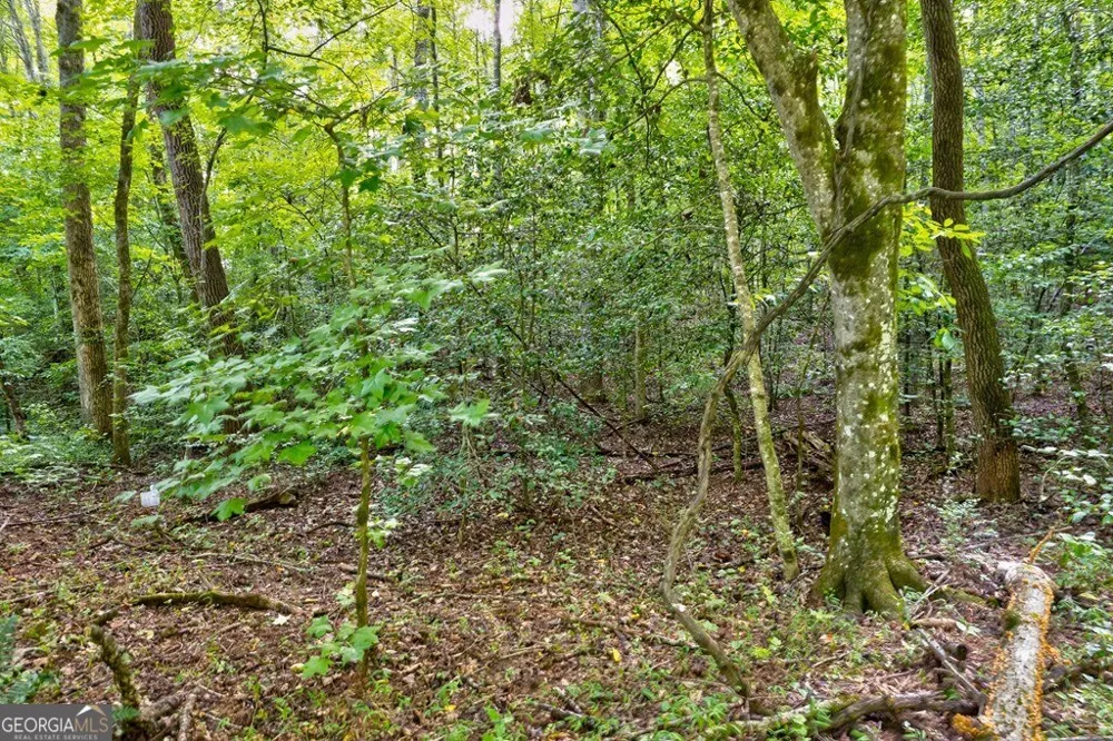 0 Wolf Pen TRL Ellijay, GA 30540