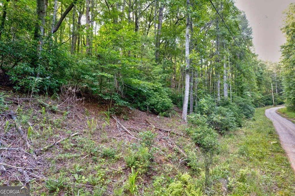 0 Wolf Pen TRL Ellijay, GA 30540