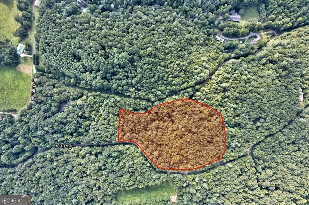 0 Wolf Pen TRL Ellijay, GA 30540