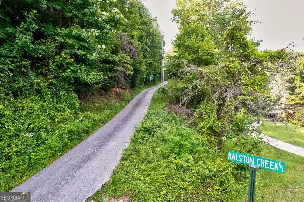 0 Wolf Pen TRL Ellijay, GA 30540
