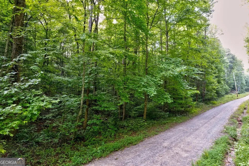 0 Wolf Pen TRL Ellijay, GA 30540