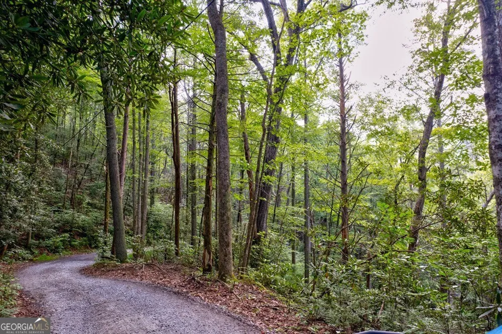 0 Wolf Pen TRL Ellijay, GA 30540