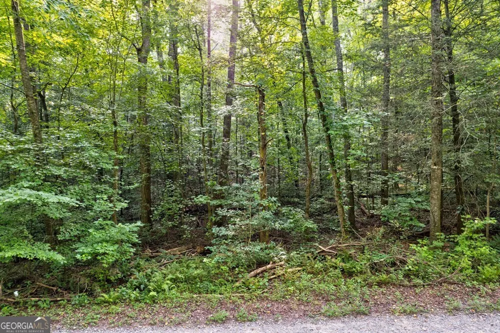 0 Wolf Pen TRL Ellijay, GA 30540
