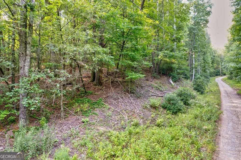 0 Wolf Pen TRL Ellijay, GA 30540