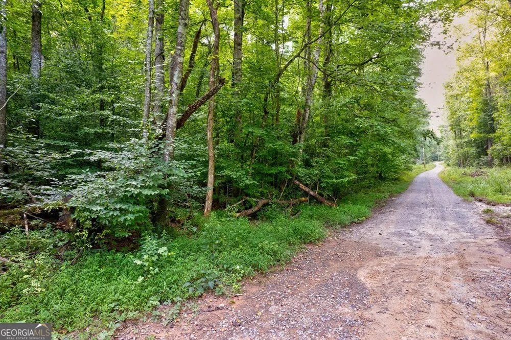 0 Wolf Pen TRL Ellijay, GA 30540