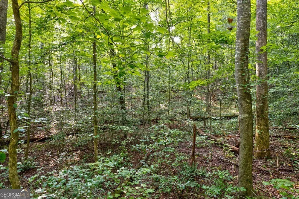 0 Wolf Pen TRL Ellijay, GA 30540