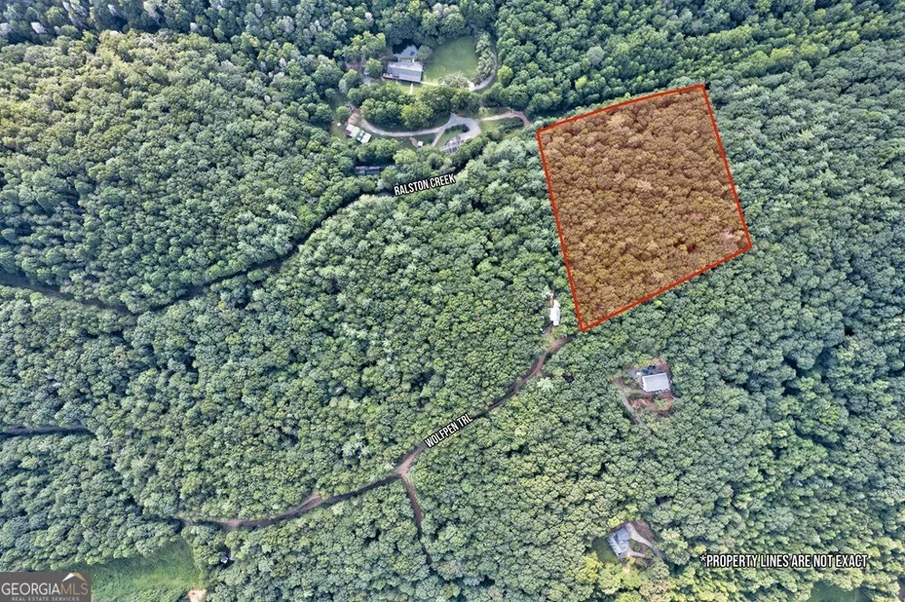 0 Wolf Pen TRL Ellijay, GA 30540