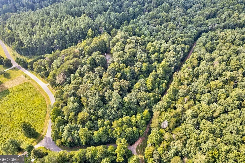 0 Wolf Pen TRL Ellijay, GA 30540