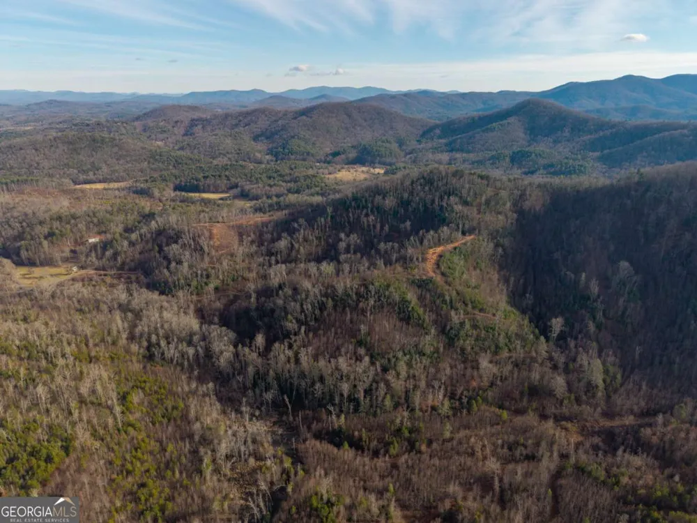 156+ Higdon Creek RD Blue Ridge, GA 30513