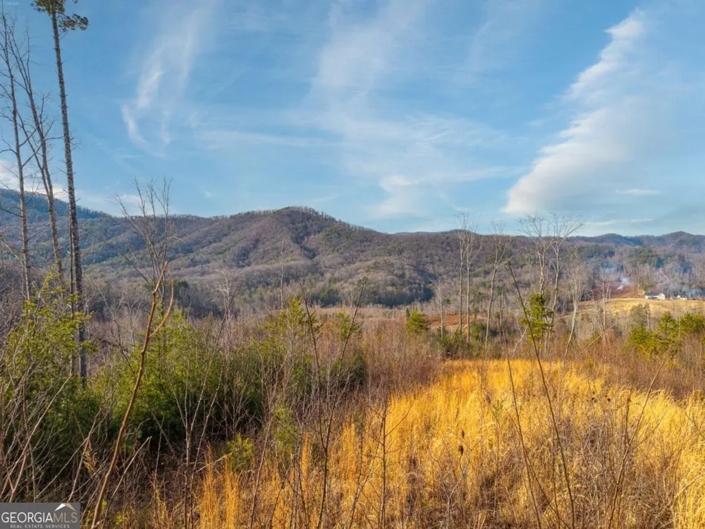 156+ Higdon Creek RD Blue Ridge, GA 30513