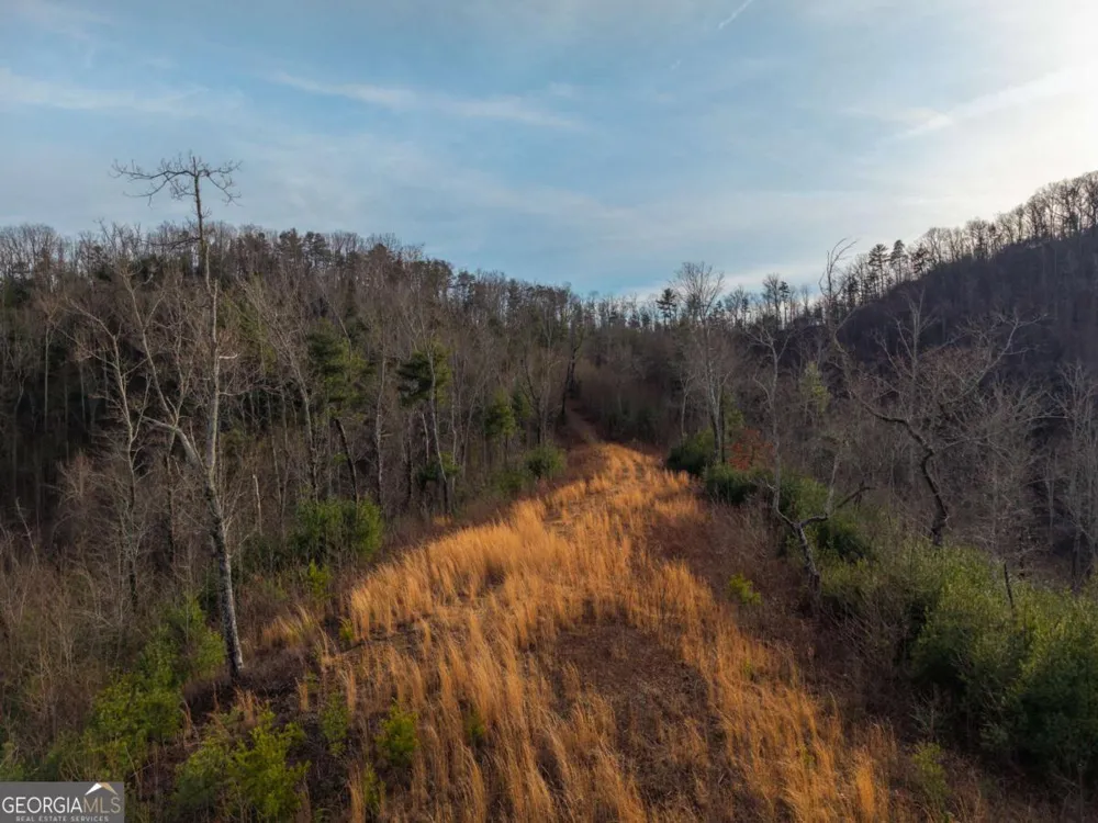 156+ Higdon Creek RD Blue Ridge, GA 30513