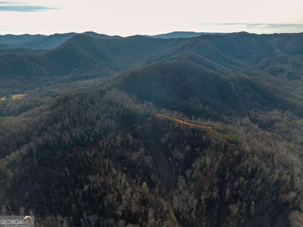 156+ Higdon Creek RD Blue Ridge, GA 30513