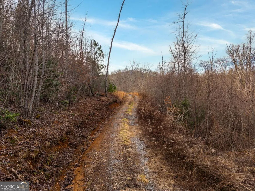 156+ Higdon Creek RD Blue Ridge, GA 30513