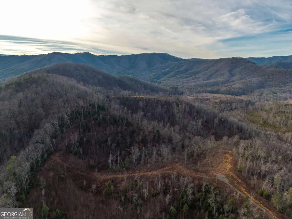 156+ Higdon Creek RD Blue Ridge, GA 30513
