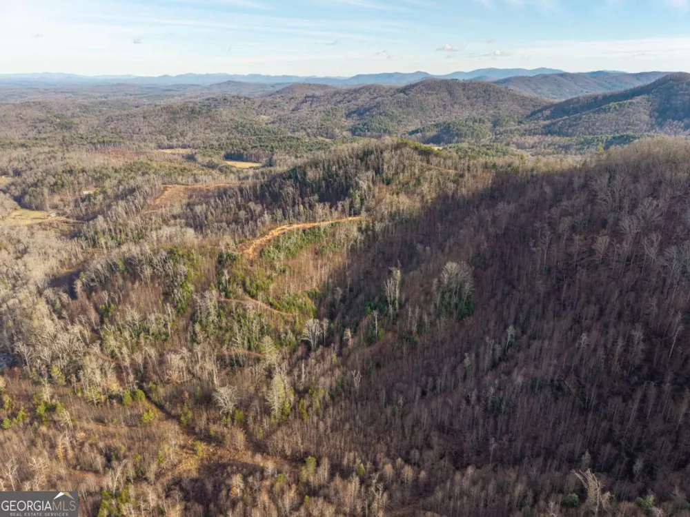 156+ Higdon Creek RD Blue Ridge, GA 30513