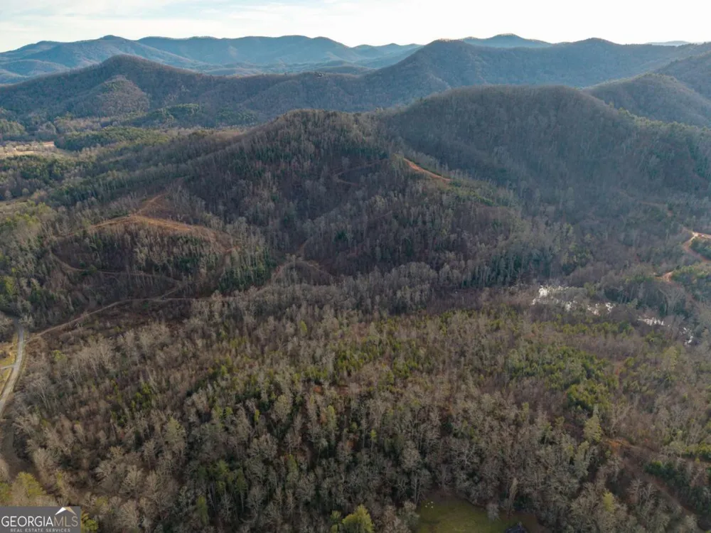156+ Higdon Creek RD Blue Ridge, GA 30513