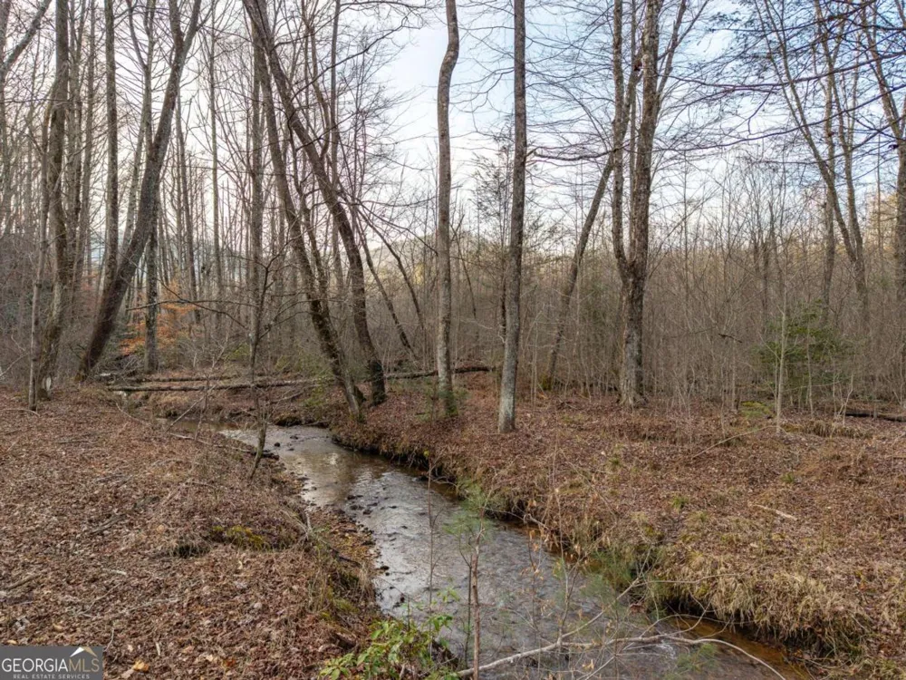 156+ Higdon Creek RD Blue Ridge, GA 30513