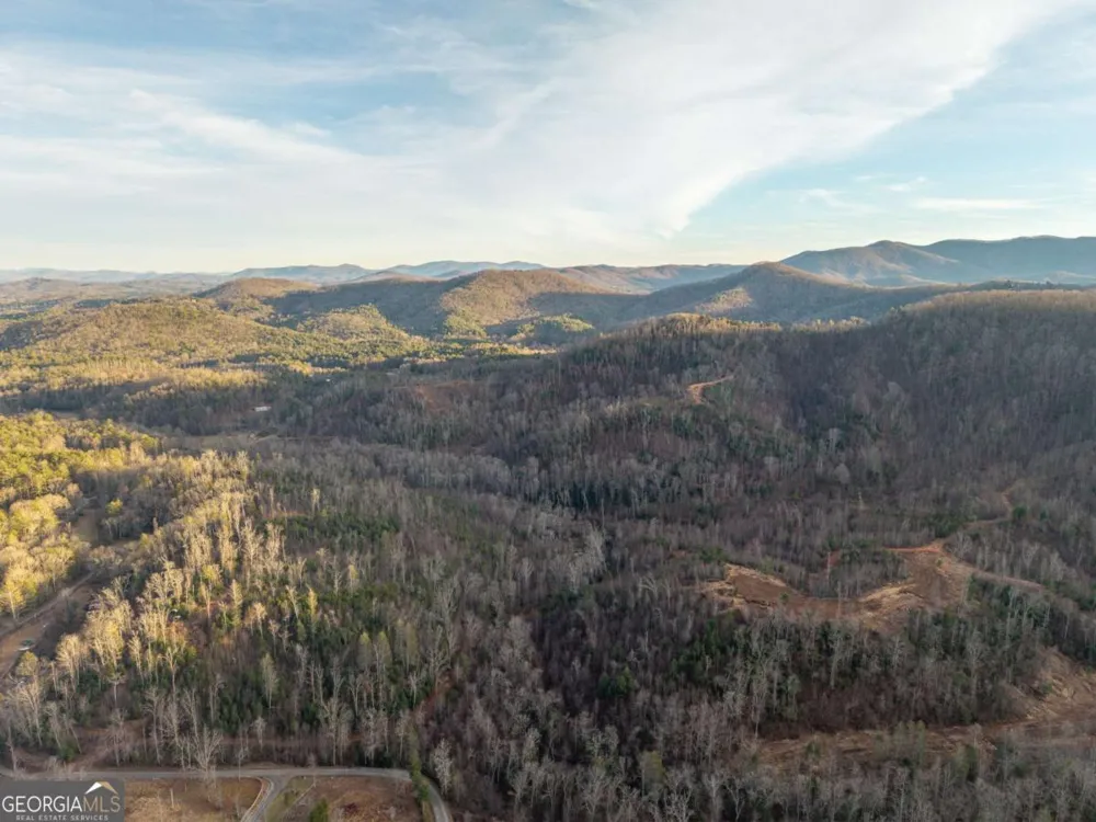 156+ Higdon Creek RD Blue Ridge, GA 30513