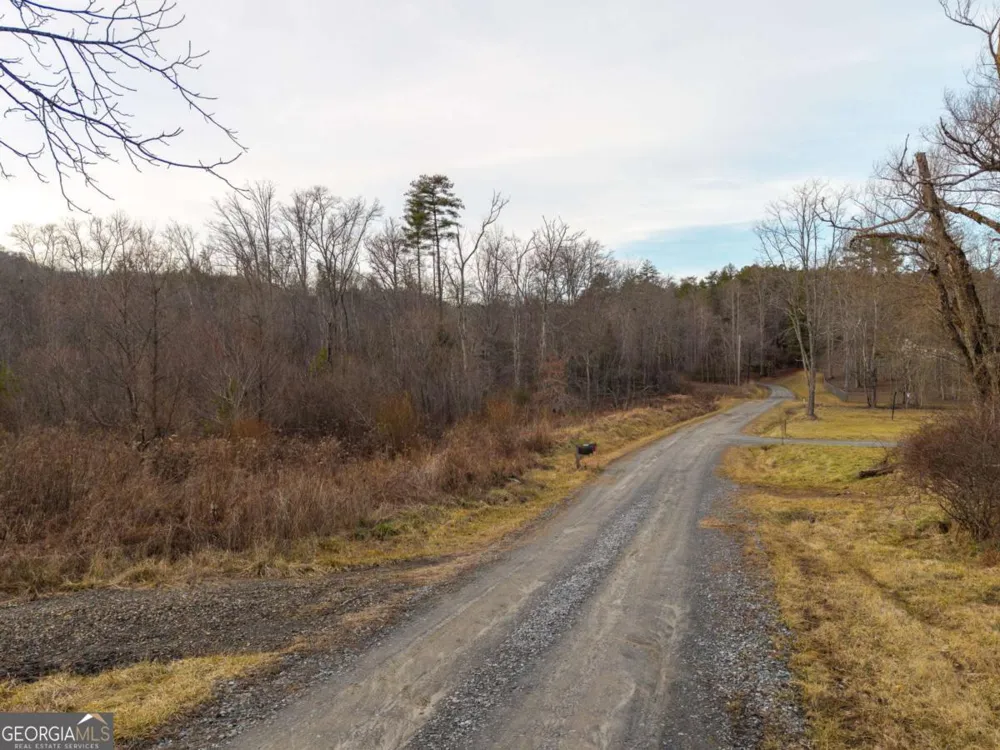 156+ Higdon Creek RD Blue Ridge, GA 30513