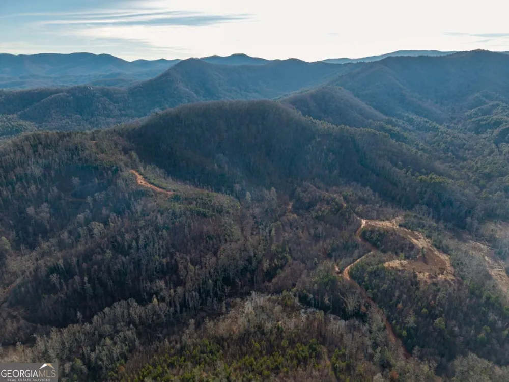 156+ Higdon Creek RD Blue Ridge, GA 30513