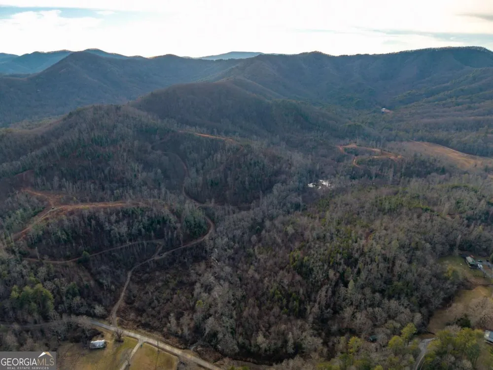 156+ Higdon Creek RD Blue Ridge, GA 30513