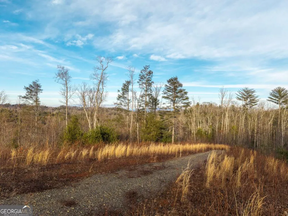 156+ Higdon Creek RD Blue Ridge, GA 30513