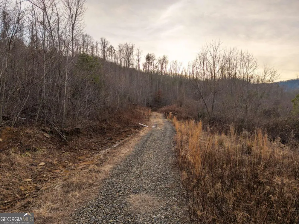 156+ Higdon Creek RD Blue Ridge, GA 30513