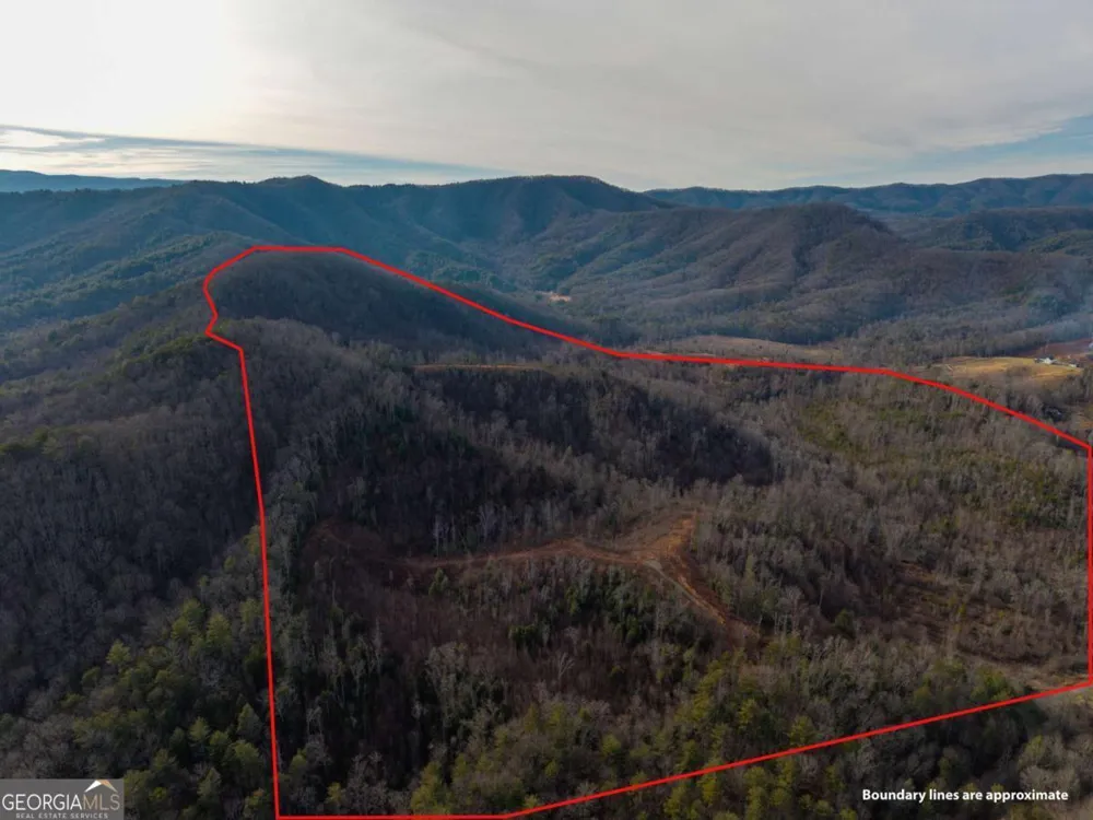 156+ Higdon Creek RD Blue Ridge, GA 30513