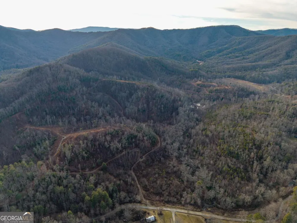 156+ Higdon Creek RD Blue Ridge, GA 30513