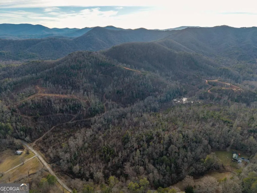 156+ Higdon Creek RD Blue Ridge, GA 30513
