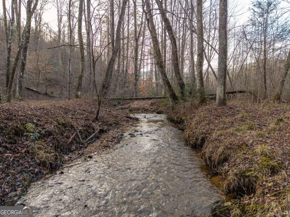 156+ Higdon Creek RD Blue Ridge, GA 30513