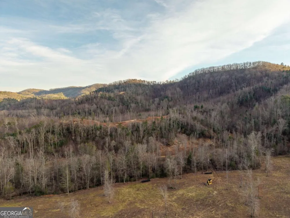 156+ Higdon Creek RD Blue Ridge, GA 30513