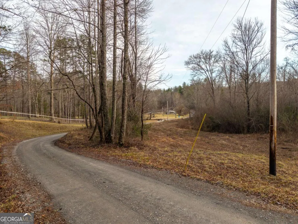 156+ Higdon Creek RD Blue Ridge, GA 30513