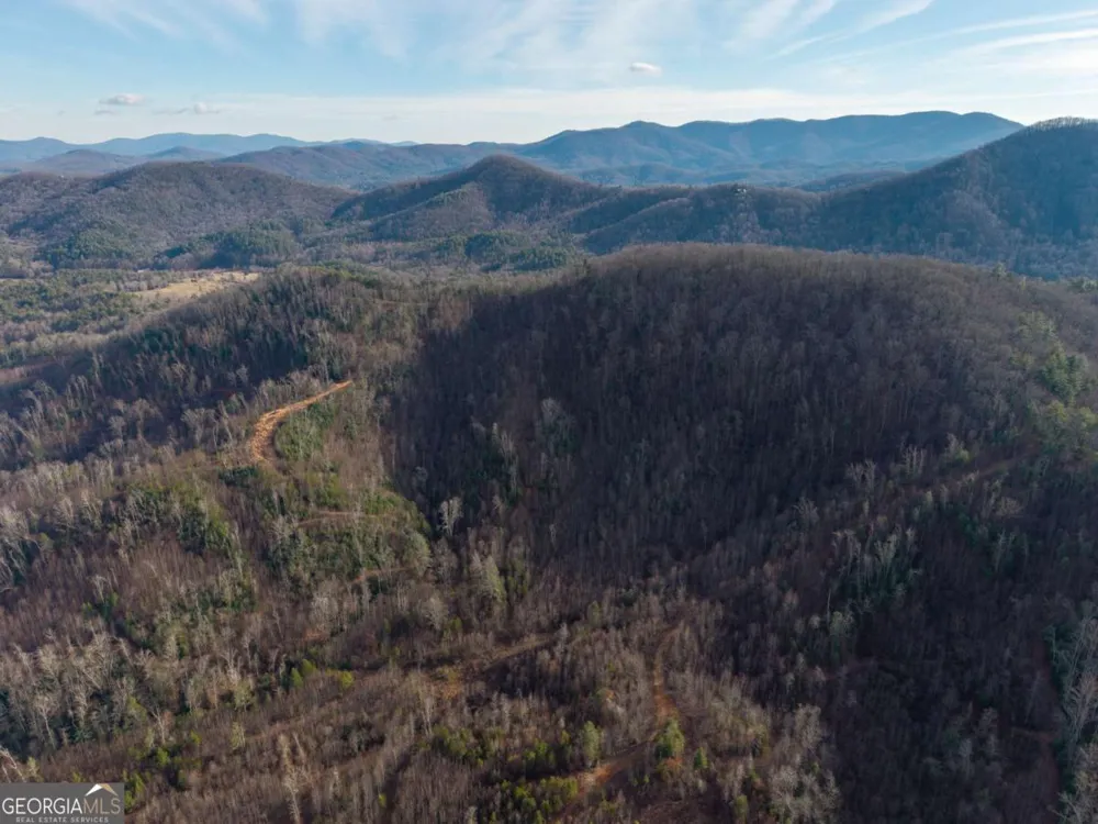156+ Higdon Creek RD Blue Ridge, GA 30513