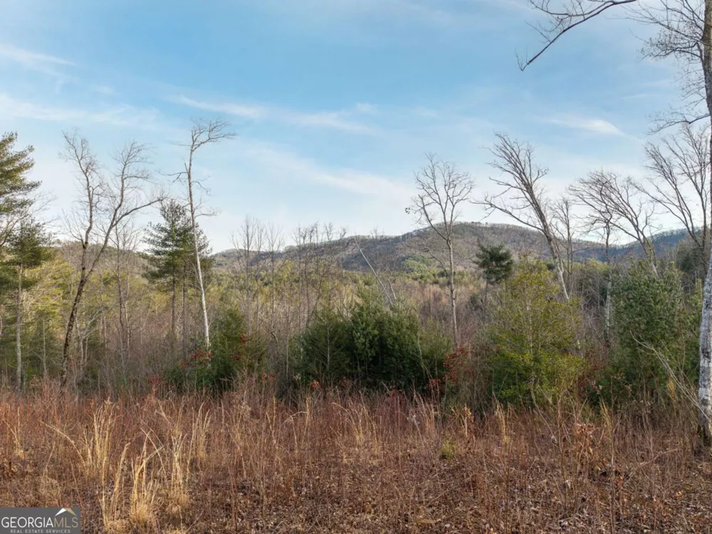 156+ Higdon Creek RD Blue Ridge, GA 30513