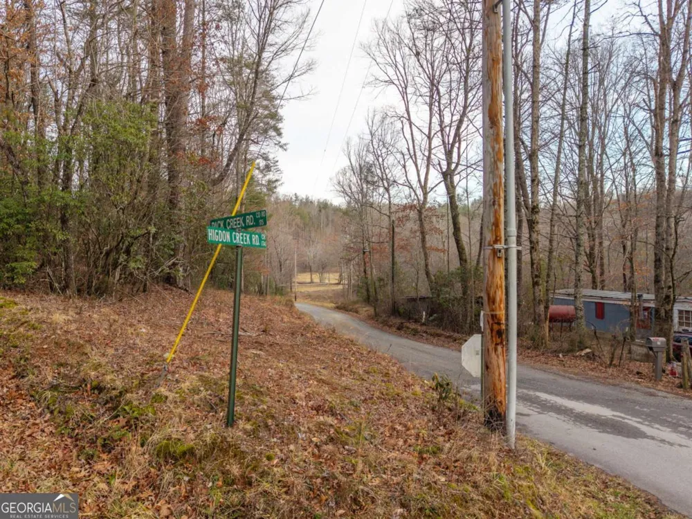 156+ Higdon Creek RD Blue Ridge, GA 30513