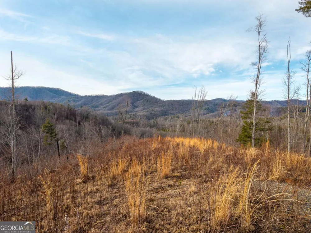 156+ Higdon Creek RD Blue Ridge, GA 30513