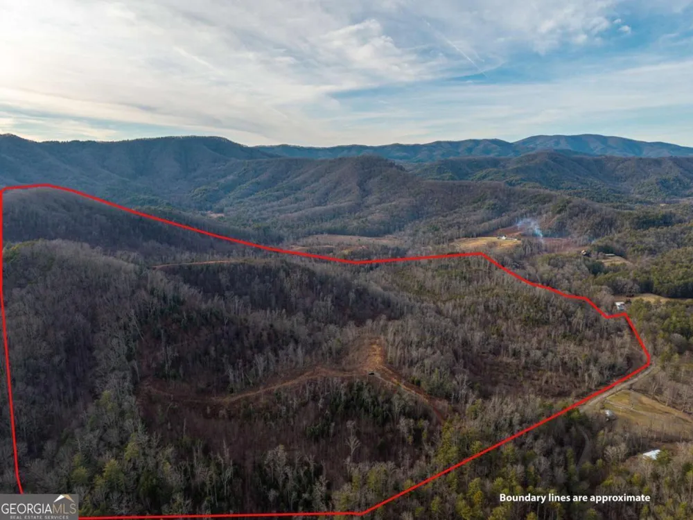 156+ Higdon Creek RD Blue Ridge, GA 30513