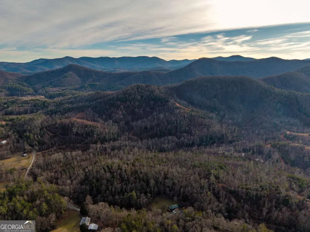 156+ Higdon Creek RD Blue Ridge, GA 30513