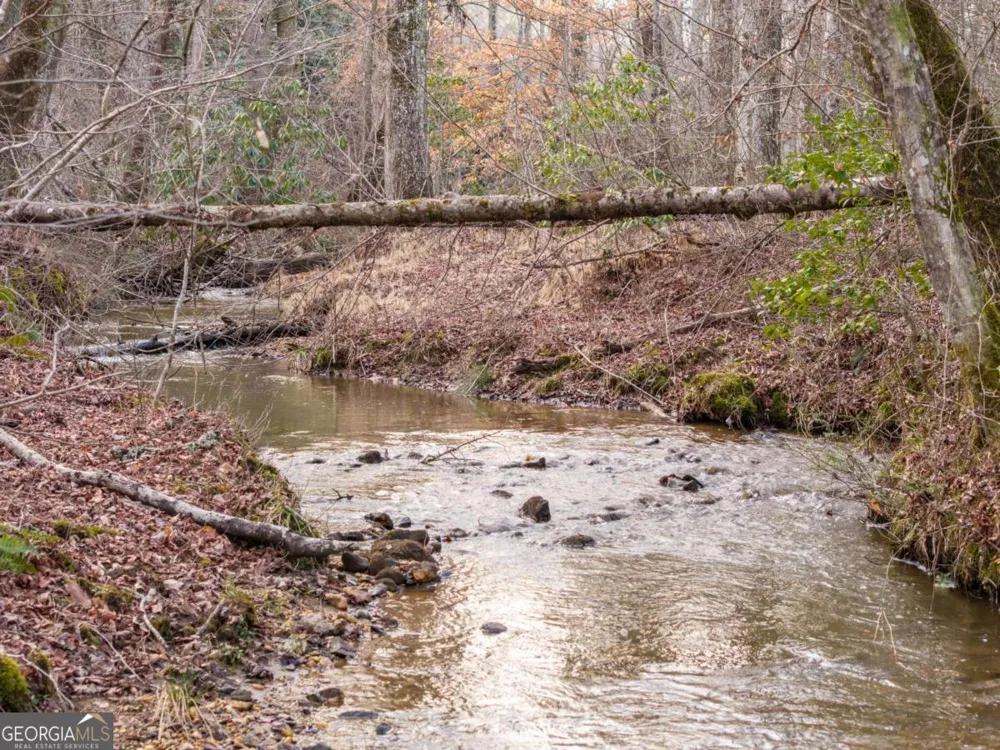 156+ Higdon Creek RD Blue Ridge, GA 30513