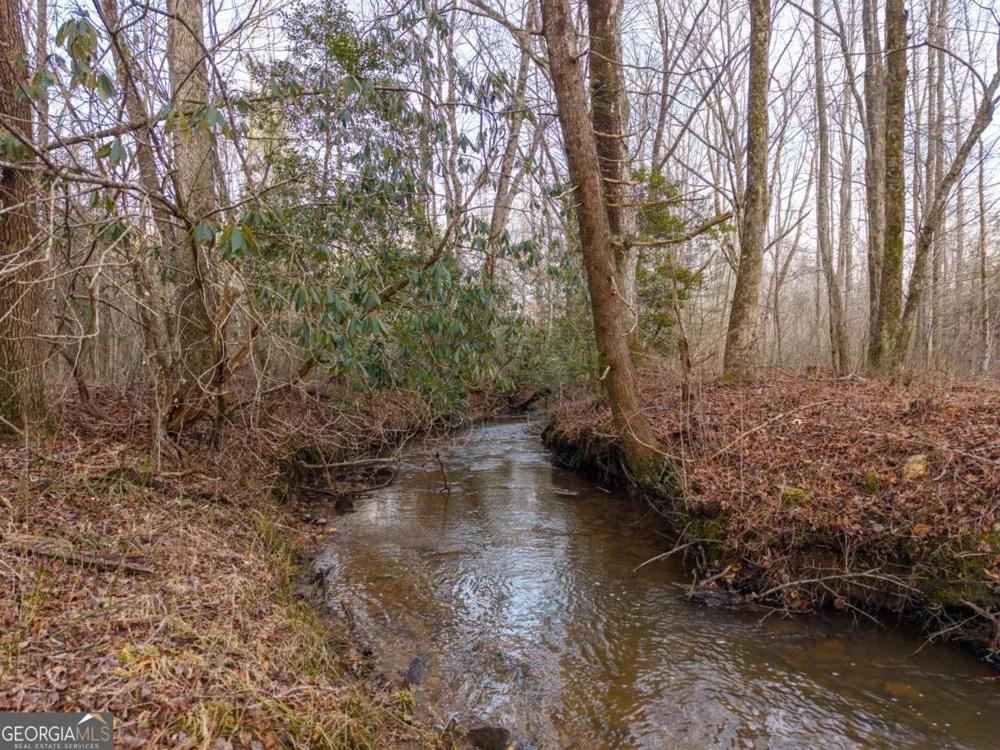 156+ Higdon Creek RD Blue Ridge, GA 30513
