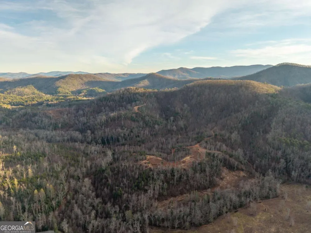 156+ Higdon Creek RD Blue Ridge, GA 30513